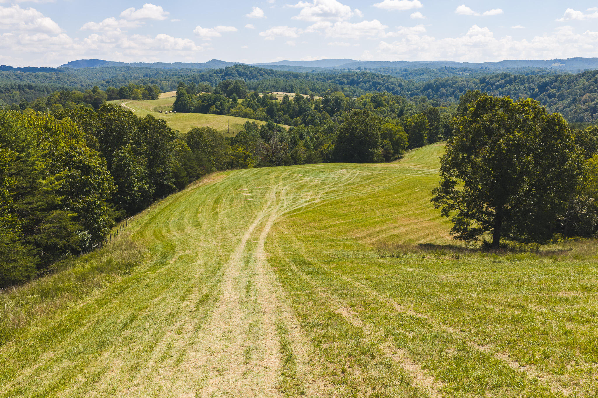 5902 Chestnut Ridge Road Riner, VA 24149 - Photo 4 of 50 DJI_20260903133122_0939_D