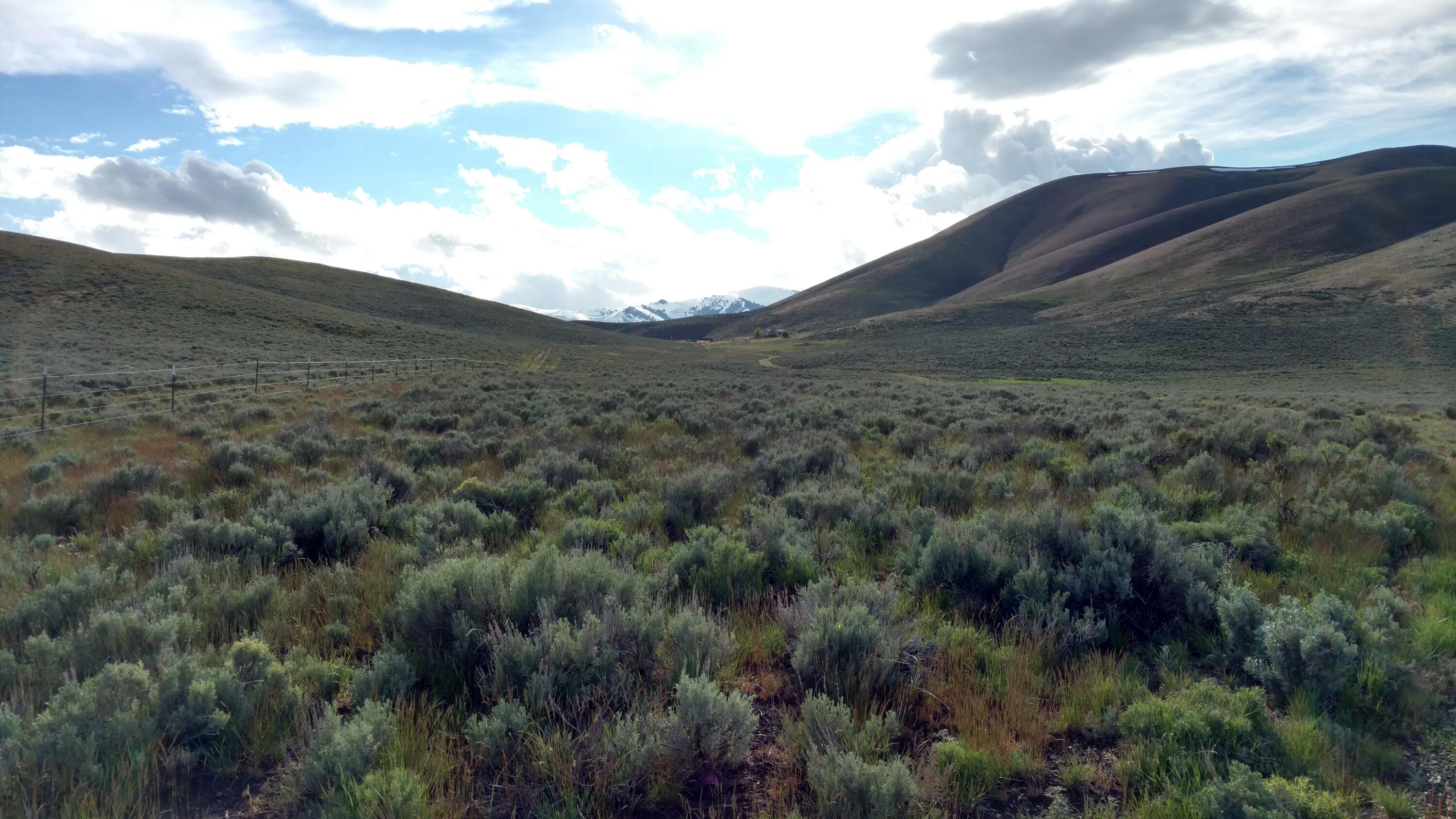 1981 Blizzard Mountain Road Moore, ID 83255 - Photo 31 of 41 IMG_20170526_183858739_HDR