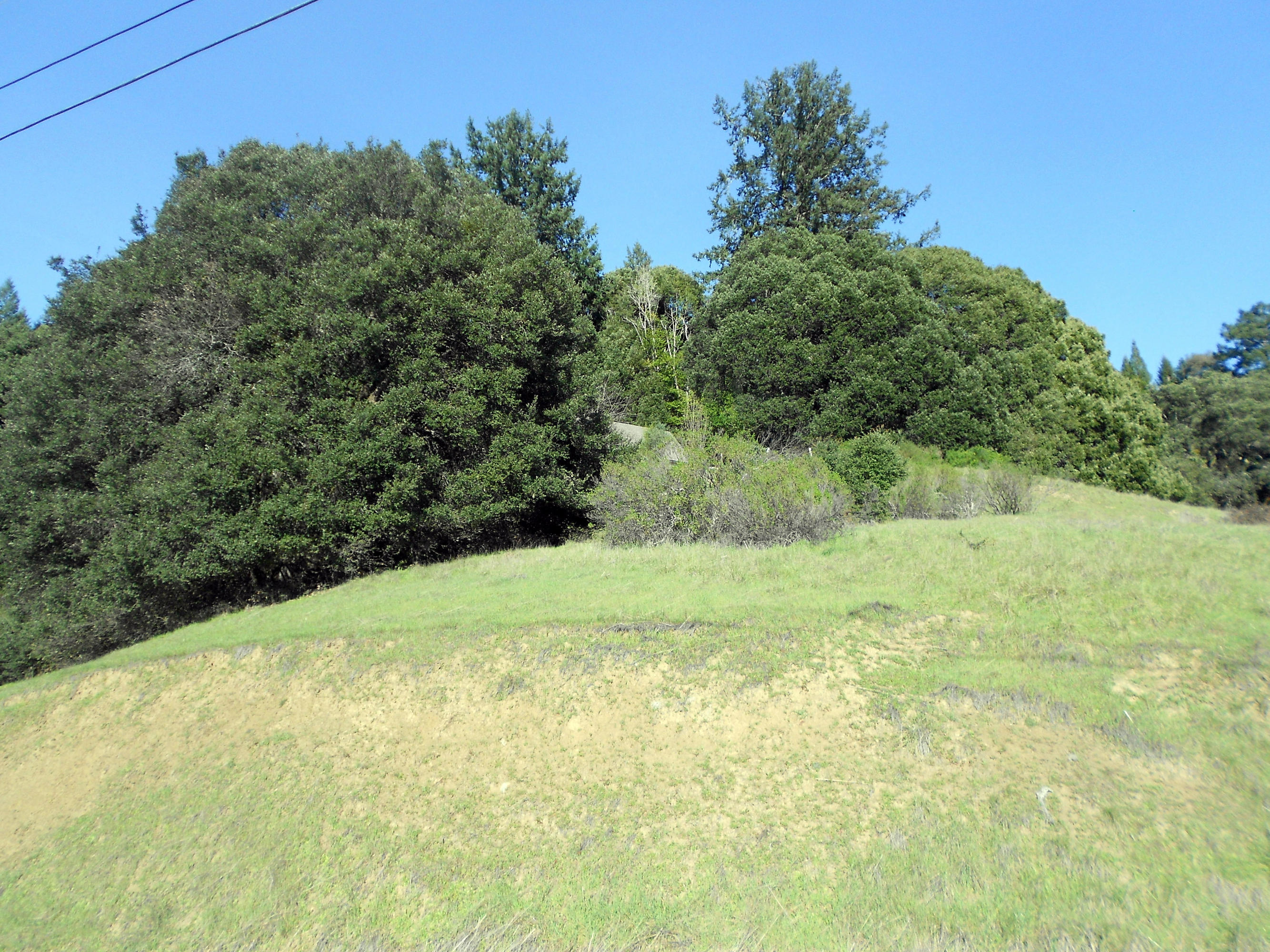 1269 East Blue Rock Road Benbow, CA 95542 - Photo 6 of 6