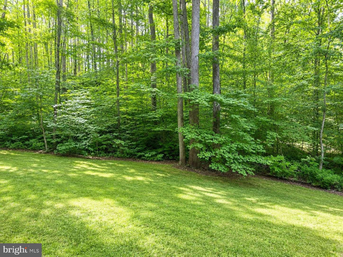 37681 Asher Road Mechanicsville, MD 20659 - Photo 19 of 20
