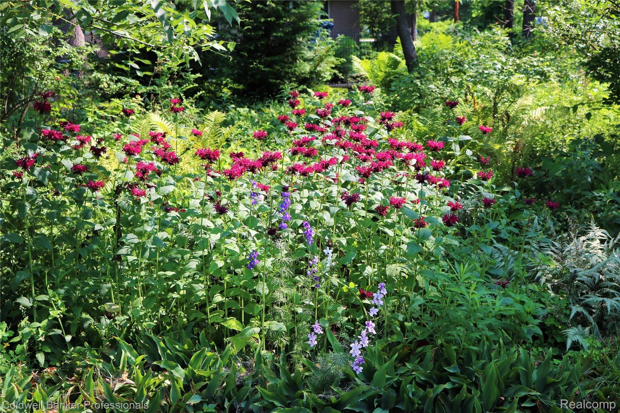 1967 Kemp Road Bloomfield Hills, MI 48302 - Photo 39 of 47 IMG_1316 (2).JPG