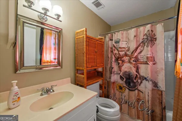 a bathroom with a sink a toilet and shower curtain