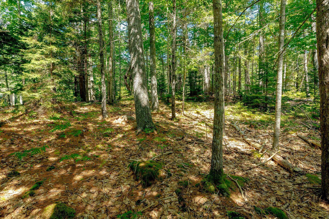 Lot 39-1 Sargent Brook Rd Mount Mount Desert, ME 04660 - Photo 2 of 7 W3-ME2884_2