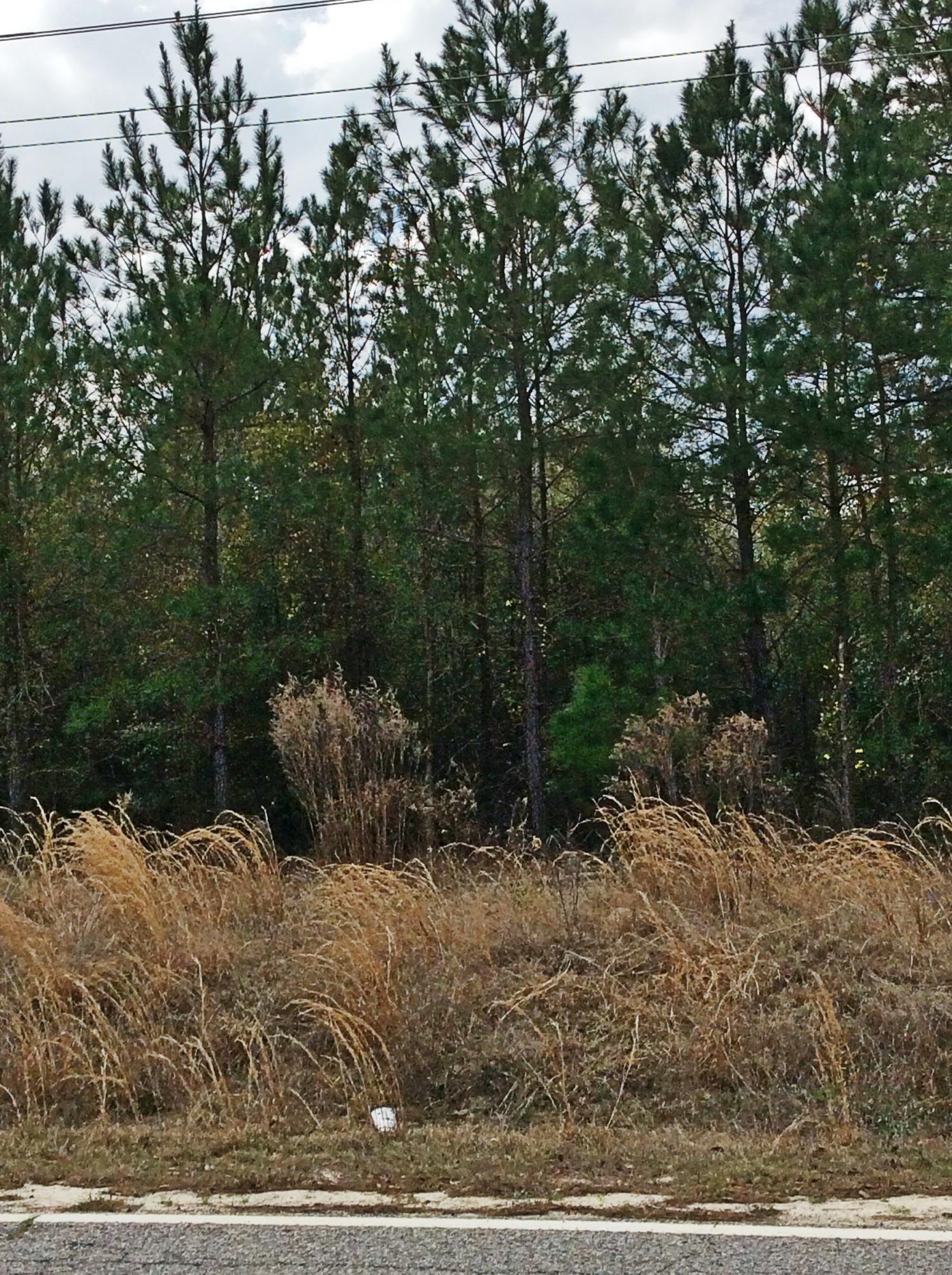 O Lumber Road Ruffin, SC 29475 - Photo 12 of 14 IMG_1374