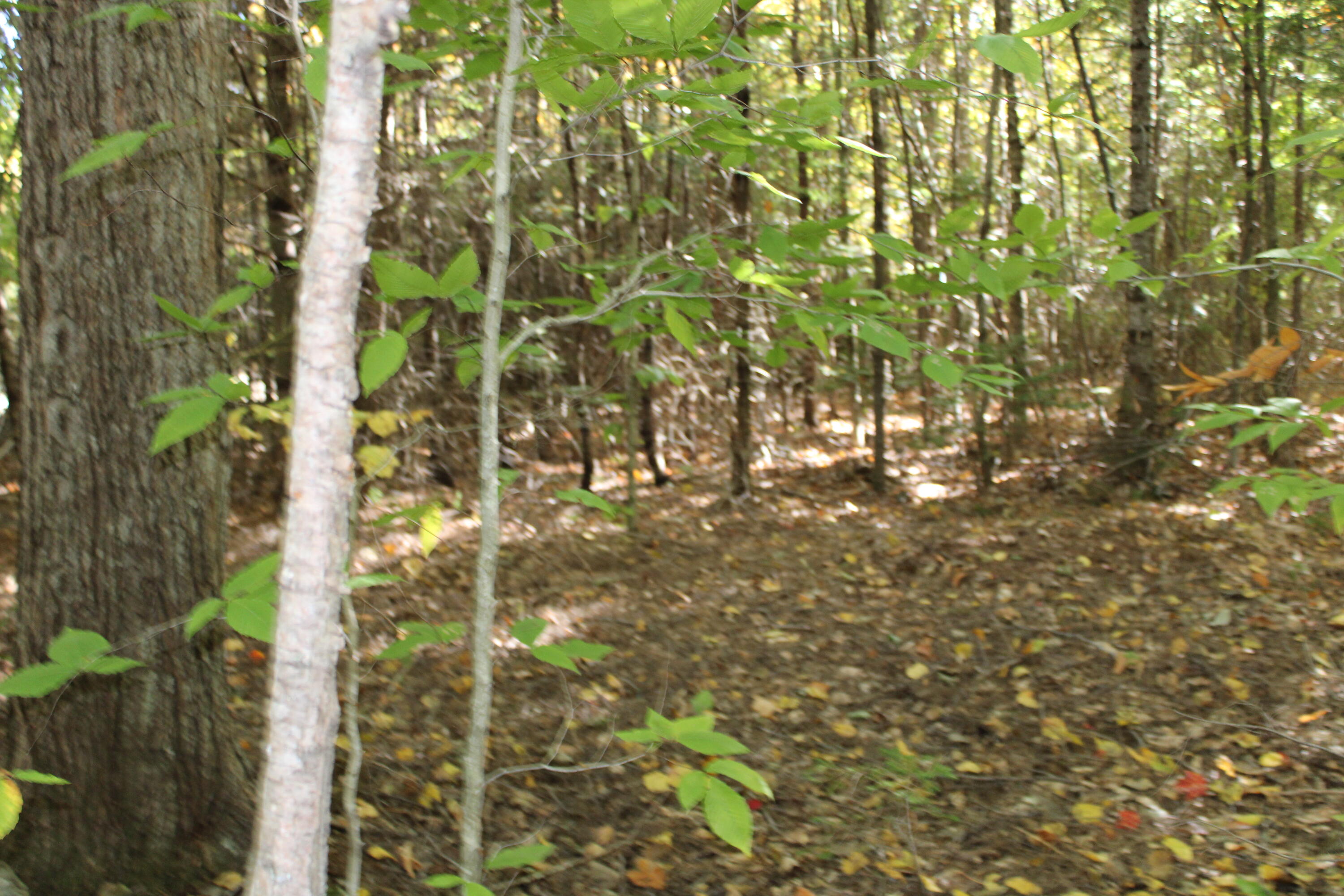4-10 Nicolin Road Ellsworth, ME 04605 - Photo 12 of 14 IMG_0491