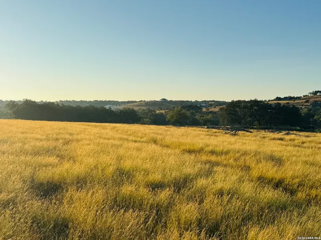 a view of yard with swimming pool and trees in the background