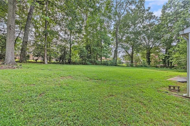 a view of a trees with a big yard