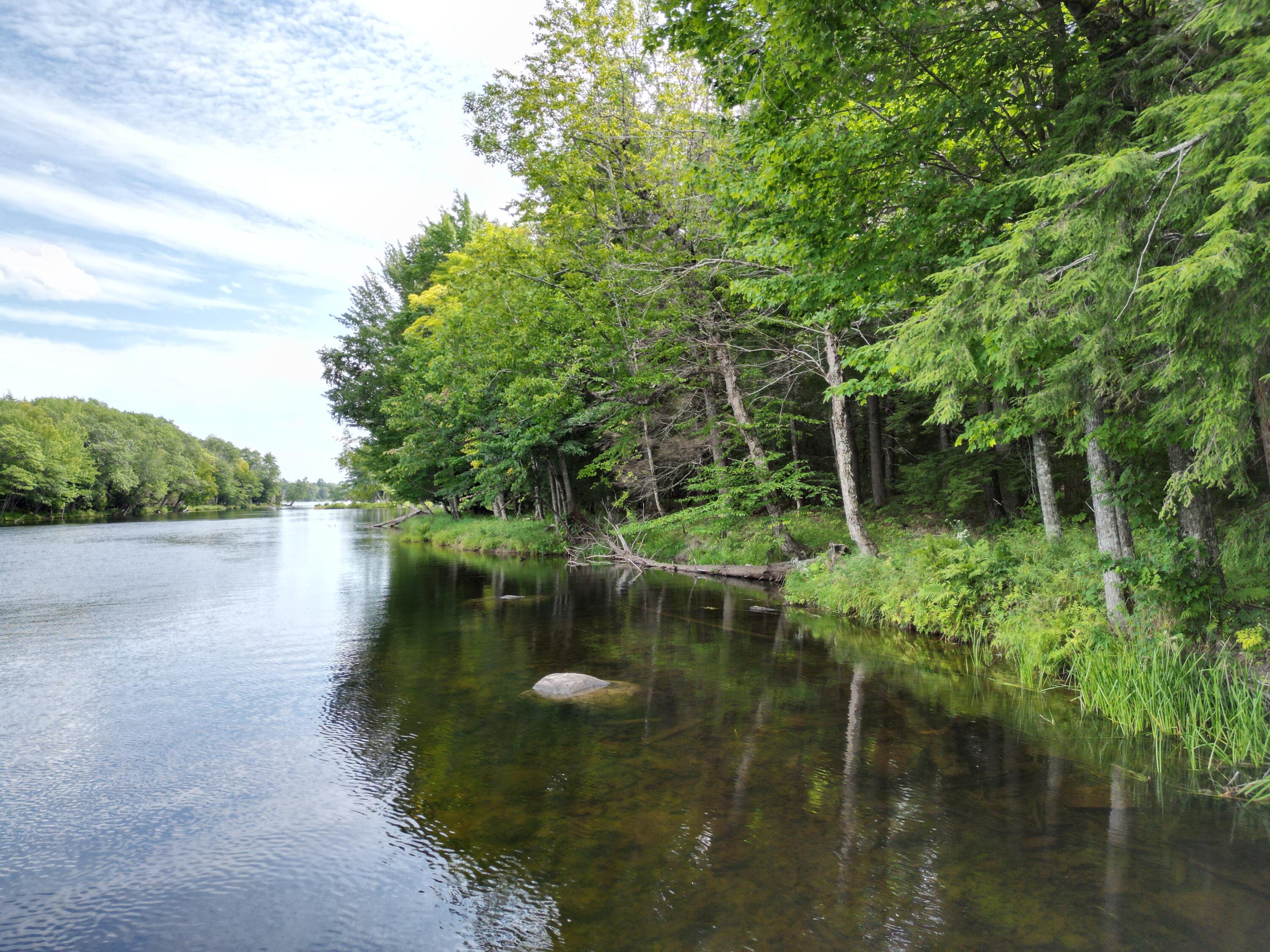 Lot 4 Off Mattamiscontis Road Howland, ME 04448 - Photo 1 of 20 DJI_0076