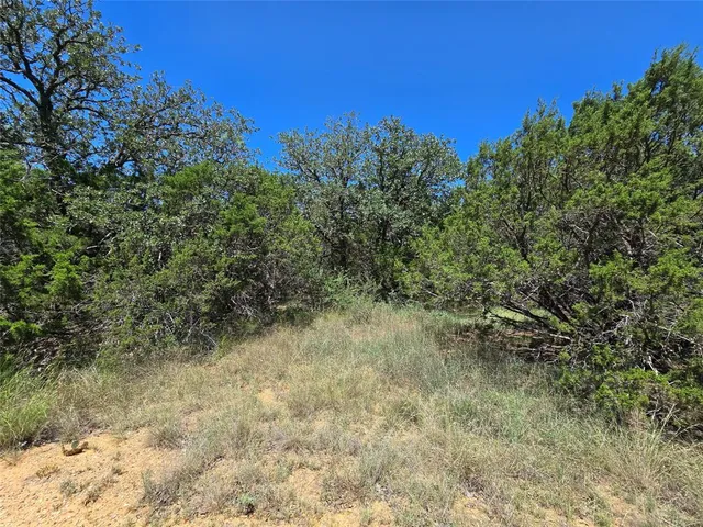a view of a yard with a tree