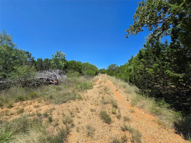 a view of a lake in between two trees