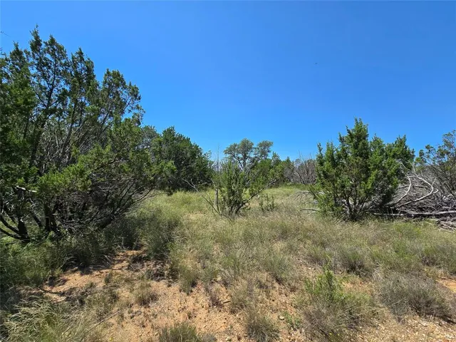 a view of a yard with a tree