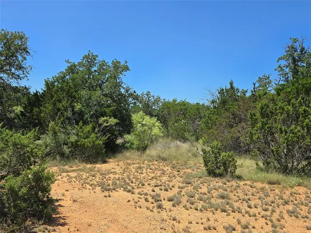 a view of a yard with trees
