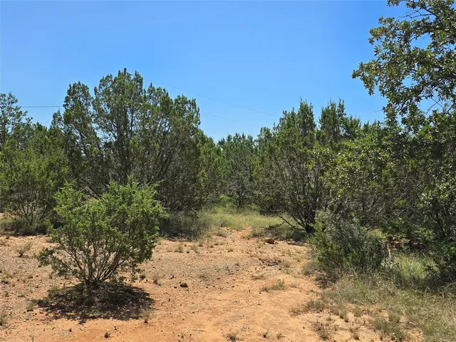 a view of a dry yard with trees