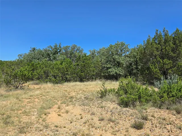 a view of a yard with a tree