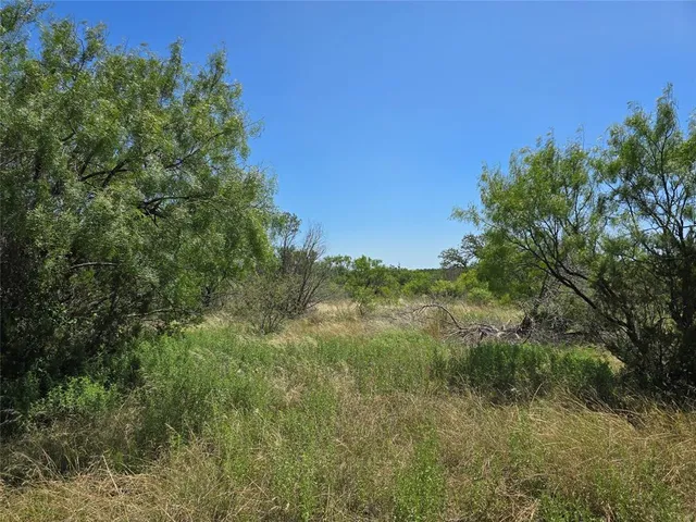 a view of a field of grass and trees