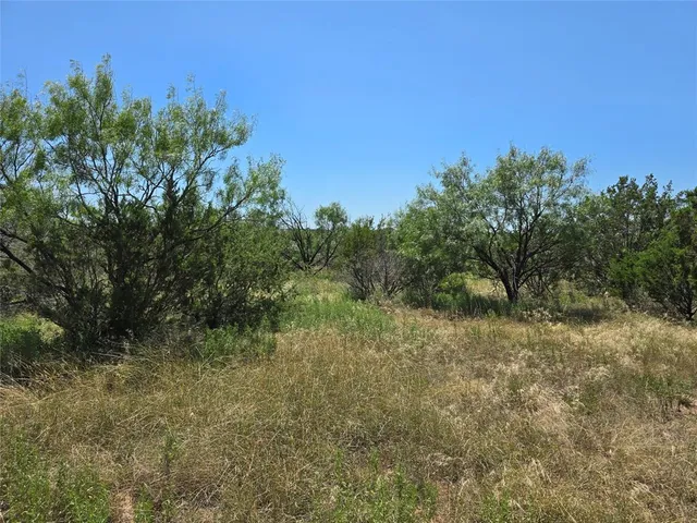 a view of a field with trees in the background
