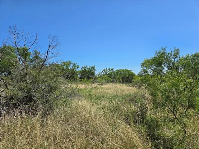 a view of a field of grass and trees