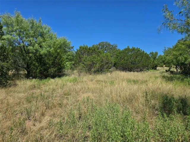 a view of a lake with a yard