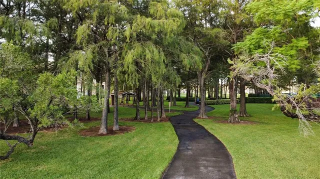 a view of park with trees