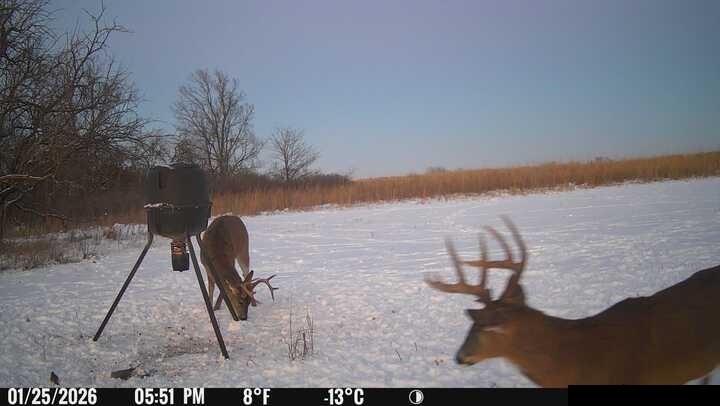 0 South Stanley Road Quenemo, KS 66528 - Photo 37 of 44