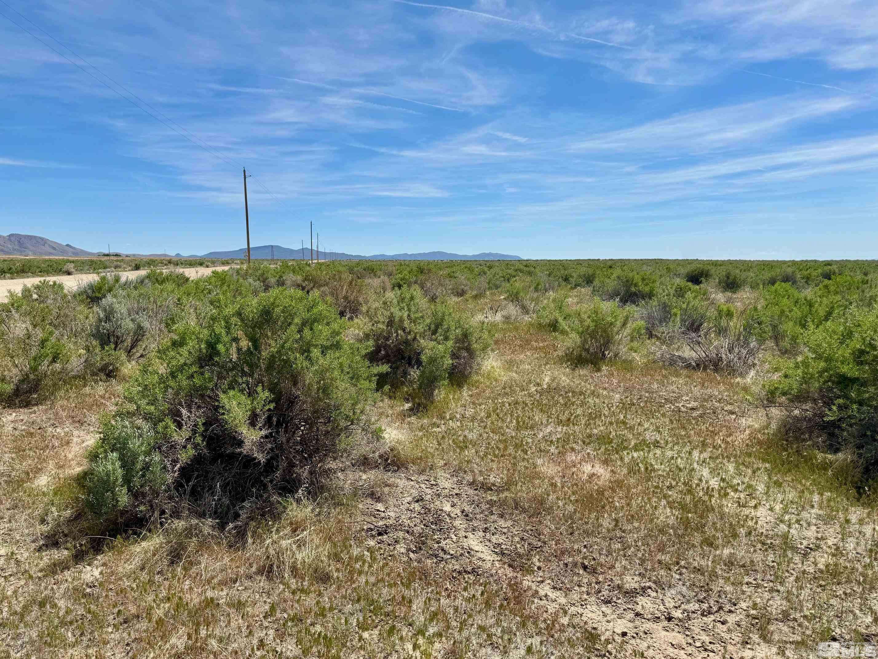 21865 Chimney Creek Road, Unit 6 Lovelock, NV 89419 - Photo 2 of 28 a view of a green yard