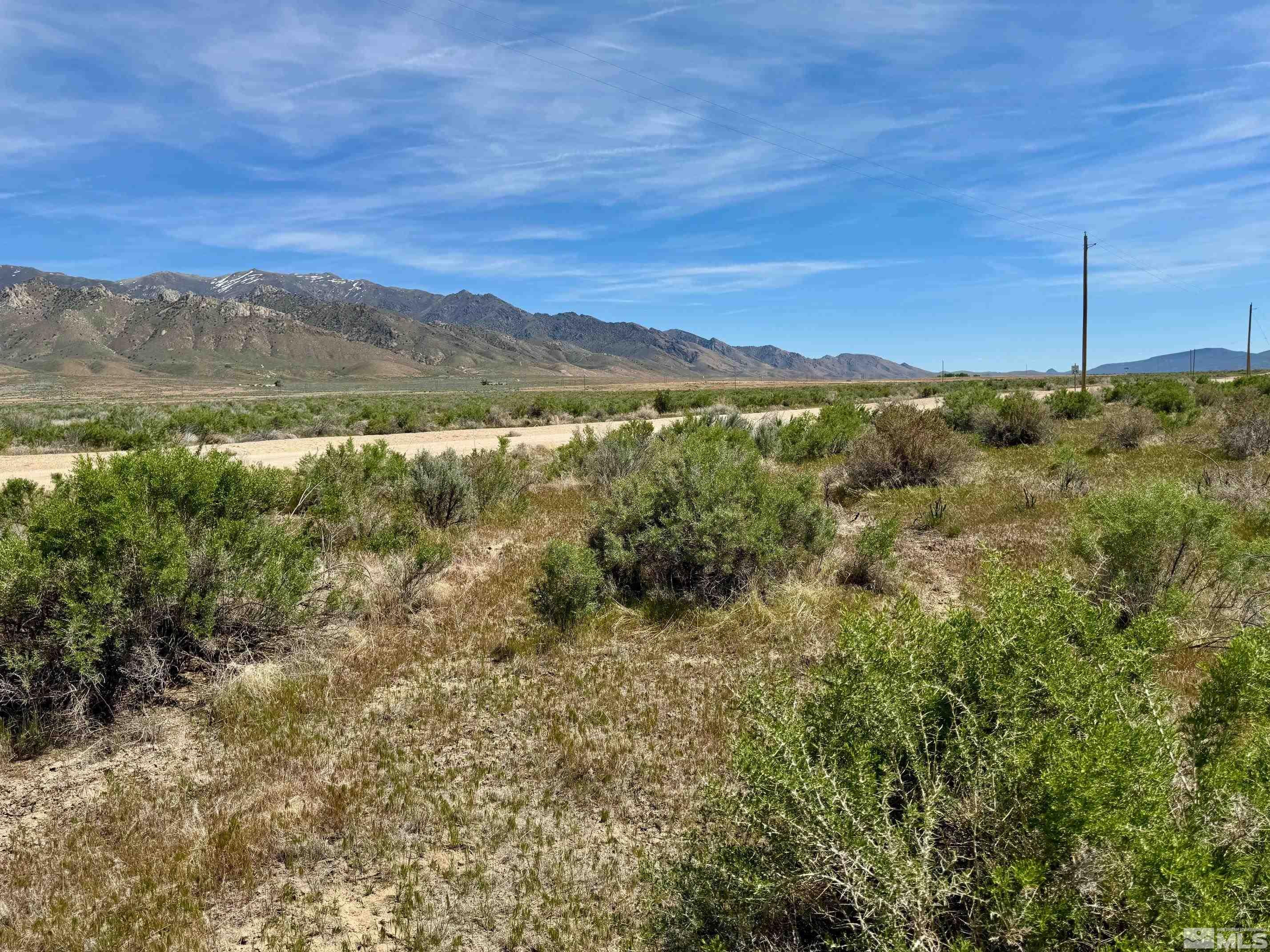 21865 Chimney Creek Road, Unit 6 Lovelock, NV 89419 - Photo 5 of 28 a view of a forest with a mountain