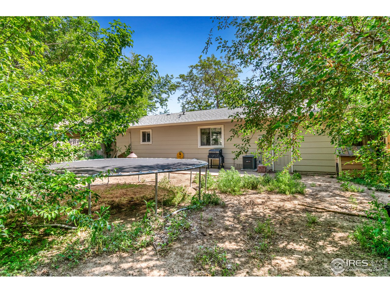 1803 30th Street Road Greeley, CO 80631 - Photo 10 of 10 Large backyard with concrete slab & Mature Trees