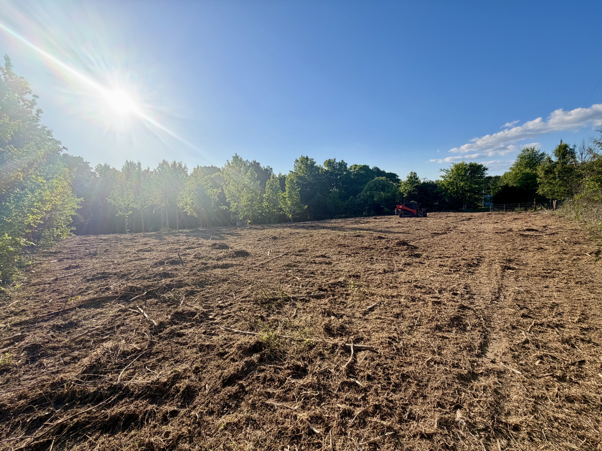 497 Rascal Town Road Loretto, TN 38469 - Photo 15 of 30 a view of a field with an trees