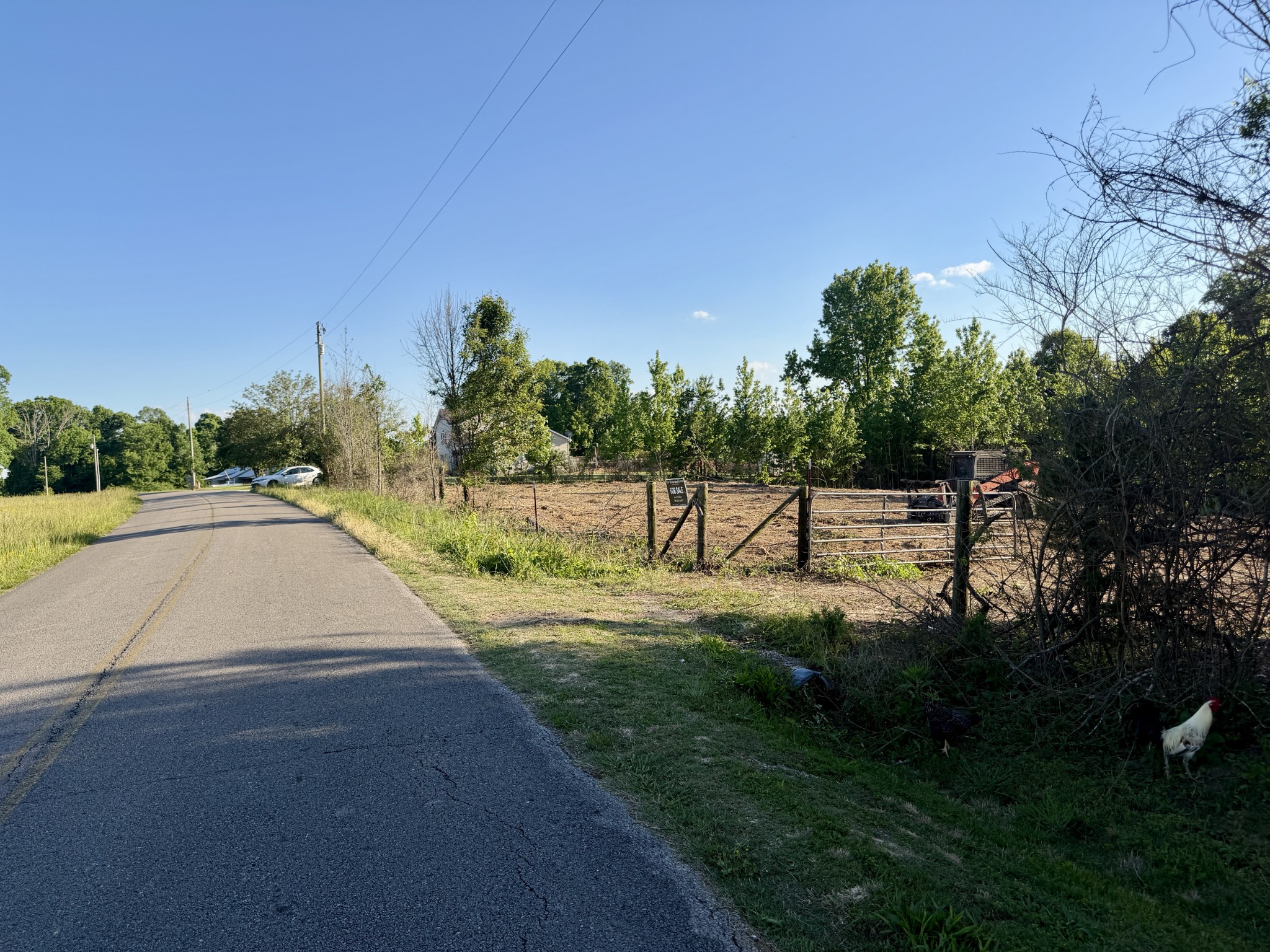 497 Rascal Town Road Loretto, TN 38469 - Photo 20 of 30 a view of park