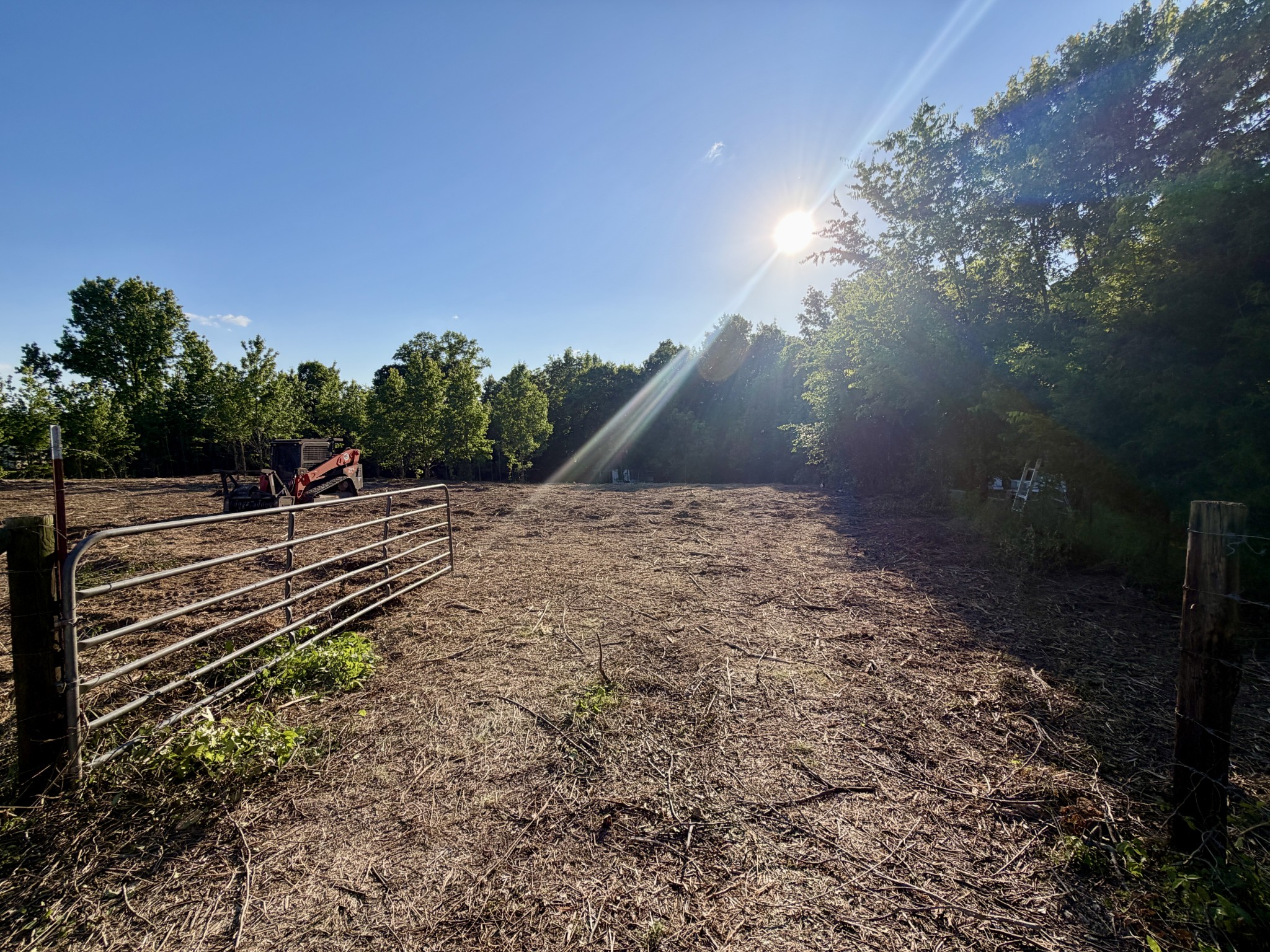497 Rascal Town Road Loretto, TN 38469 - Photo 2 of 30 a view of outdoor space and yard
