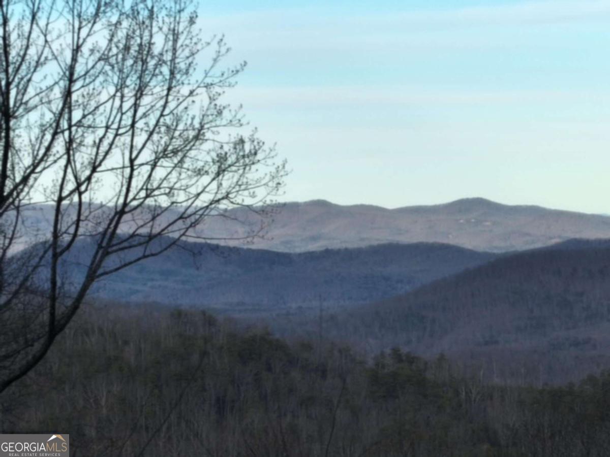 279 Andes Ridge Talking Rock, GA 30175 - Photo 13 of 37