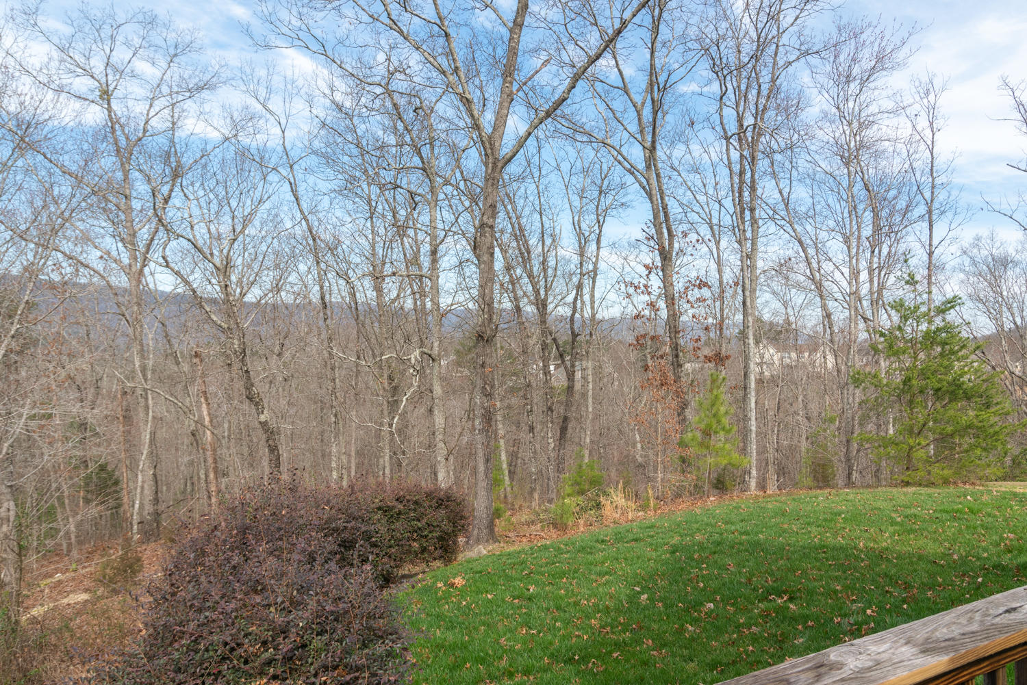 115 Roundtree Court Flintstone, GA 30725 - Photo 25 of 28 115_Roundtree_Ct_24