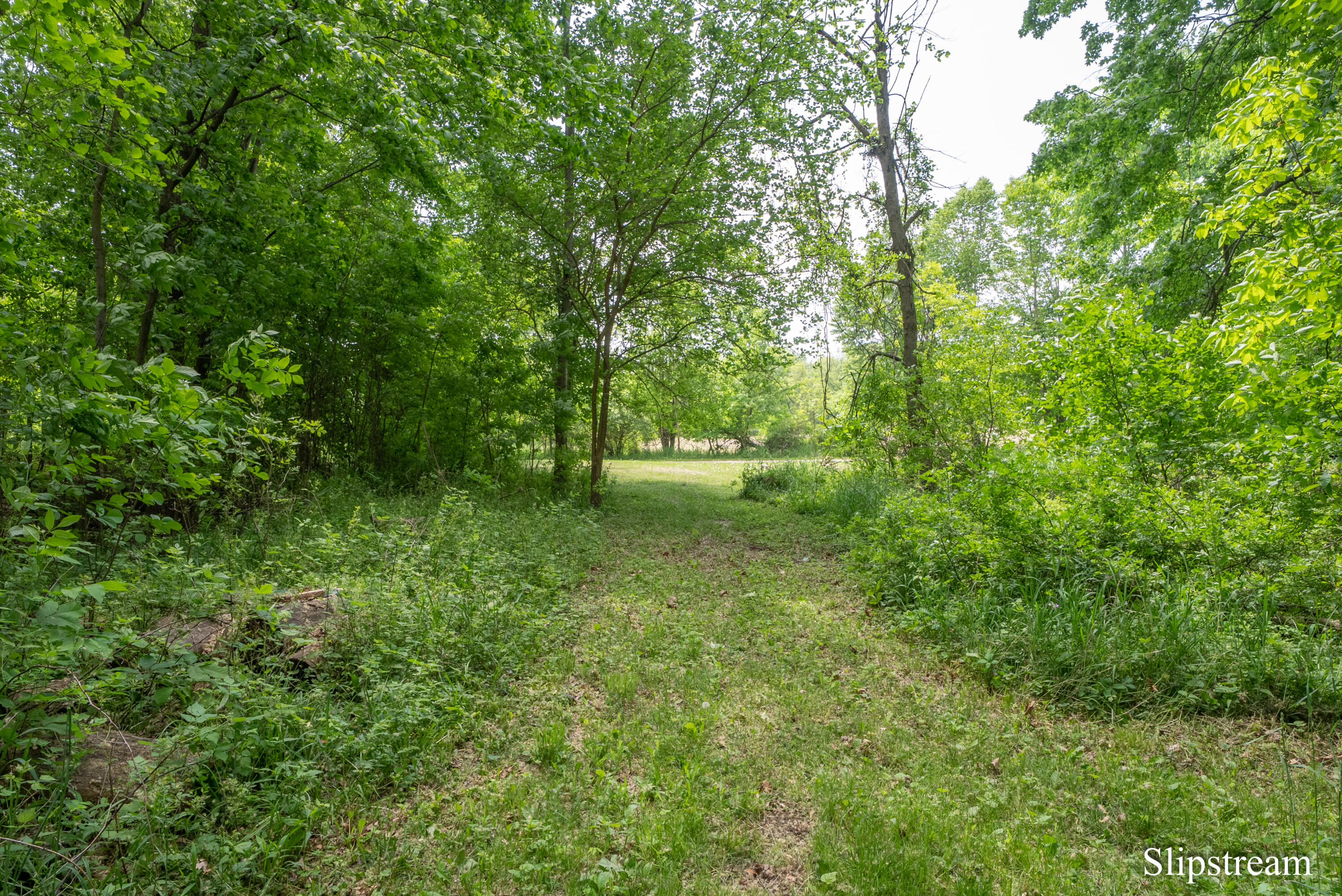 9565 Royston Road Grand Ledge, MI 48837 - Photo 33 of 43 DSC06815