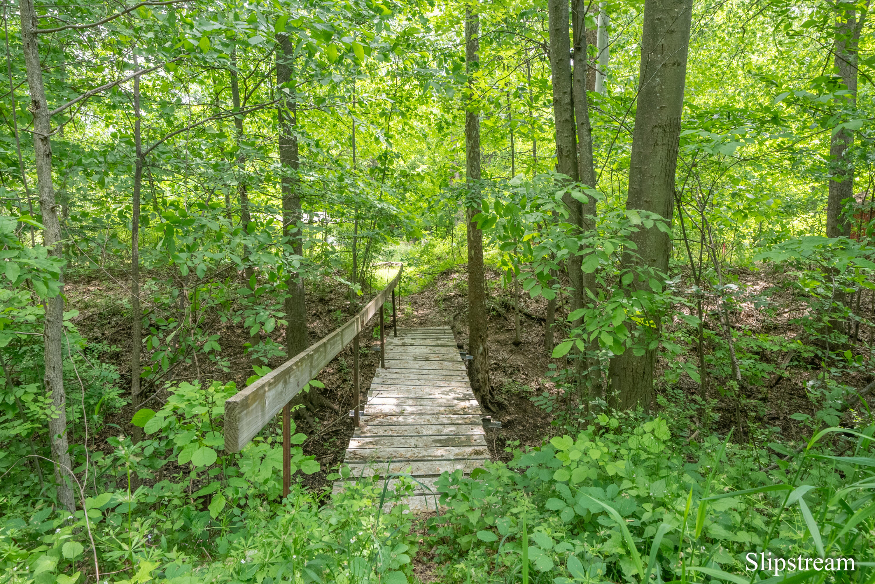 9565 Royston Road Grand Ledge, MI 48837 - Photo 34 of 43 DSC06816
