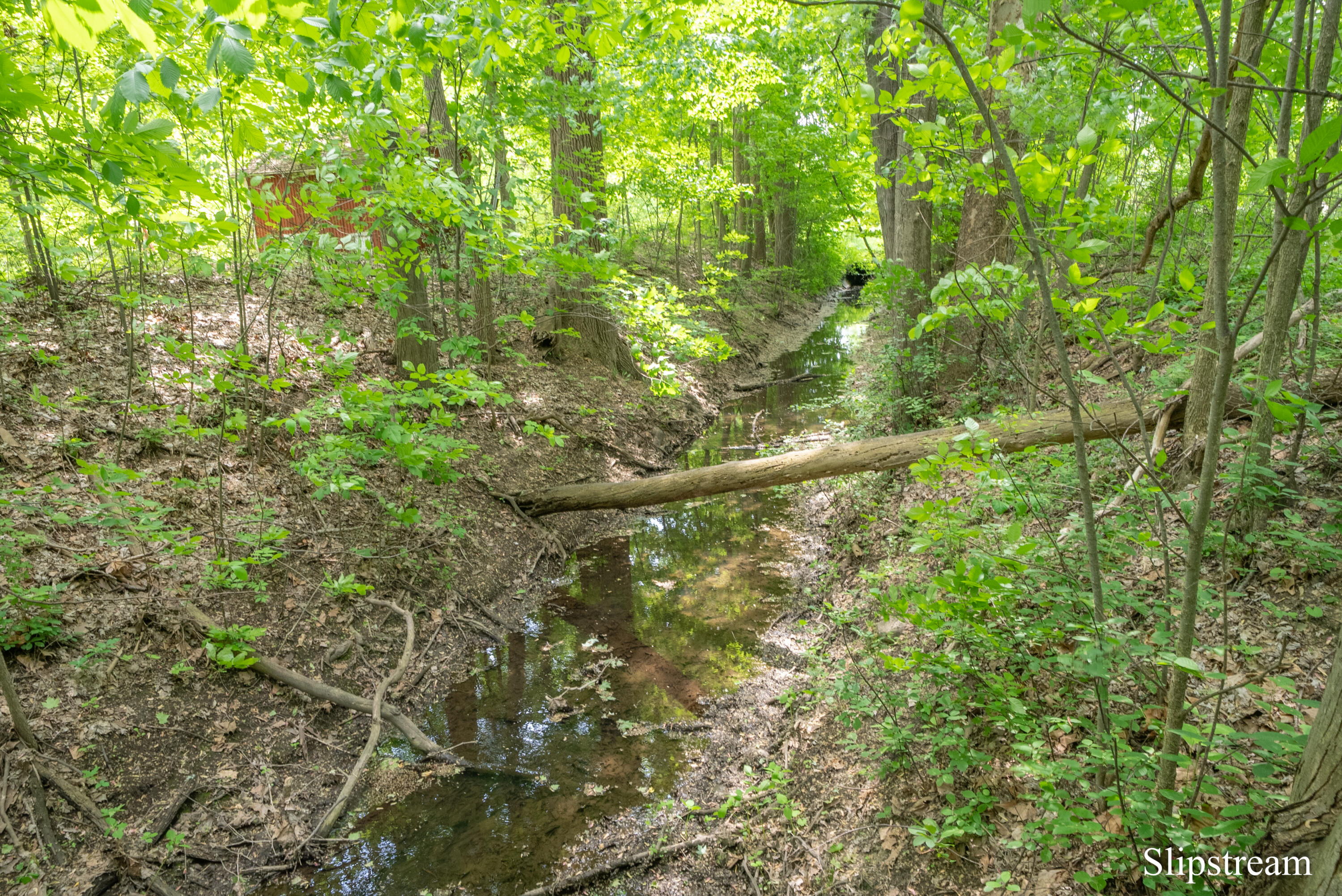 9565 Royston Road Grand Ledge, MI 48837 - Photo 35 of 43 DSC06817