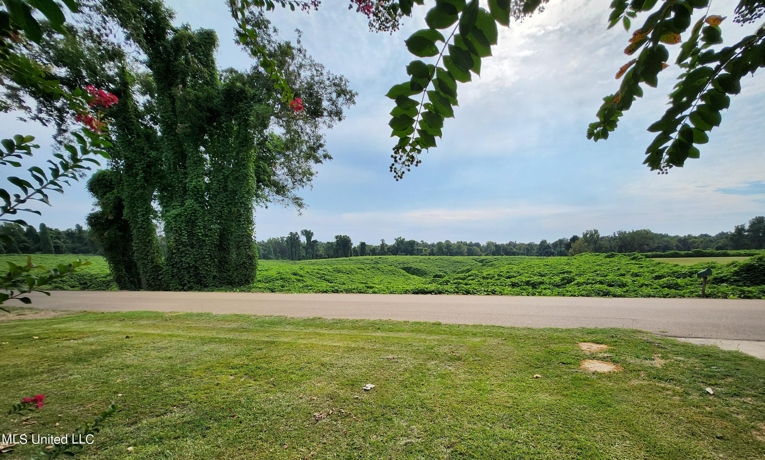 815 Renshaw Road Yazoo City, MS 39194 - Photo 5 of 19 20230920_100020