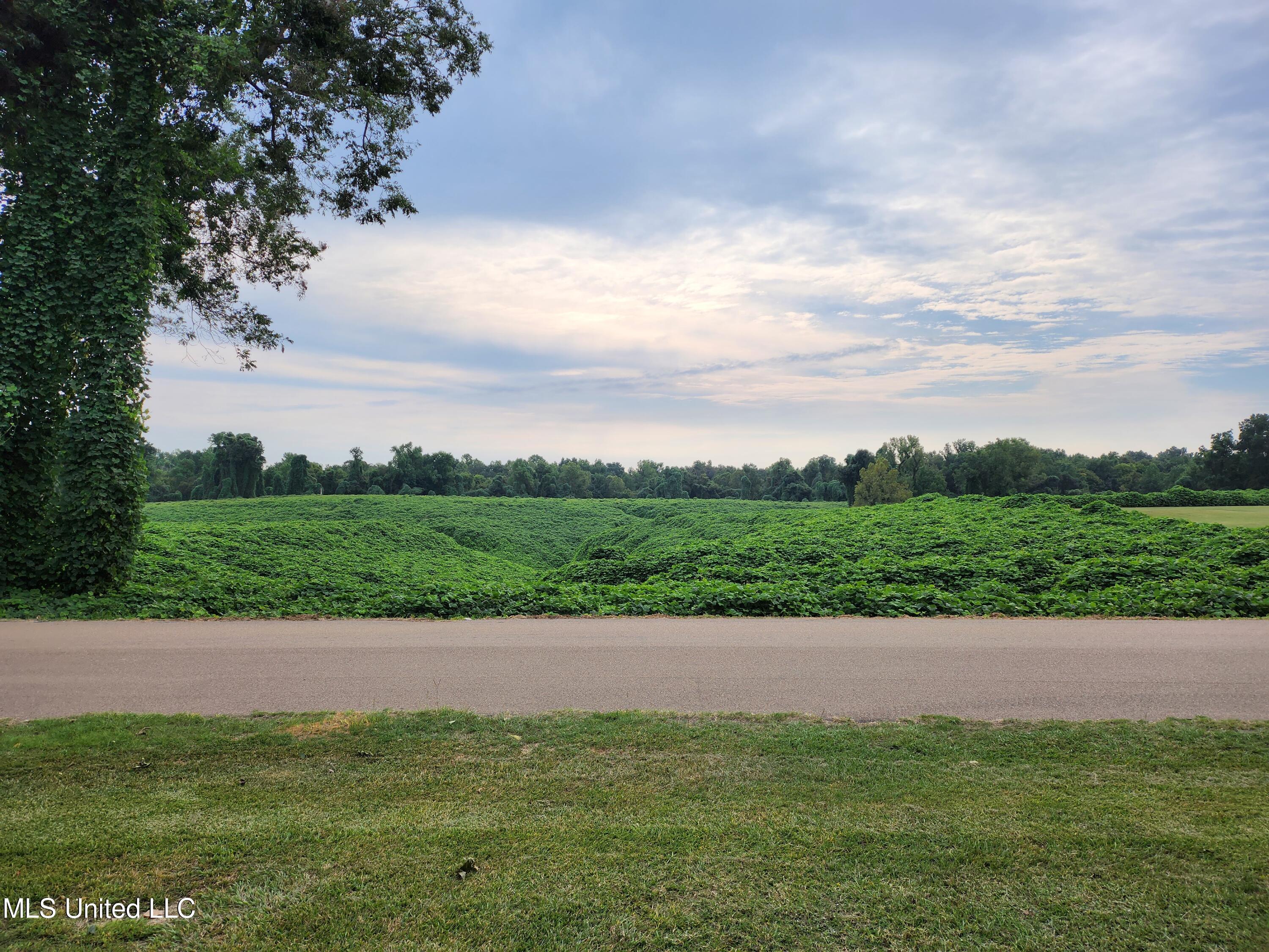 815 Renshaw Road Yazoo City, MS 39194 - Photo 6 of 19 20230920_093436