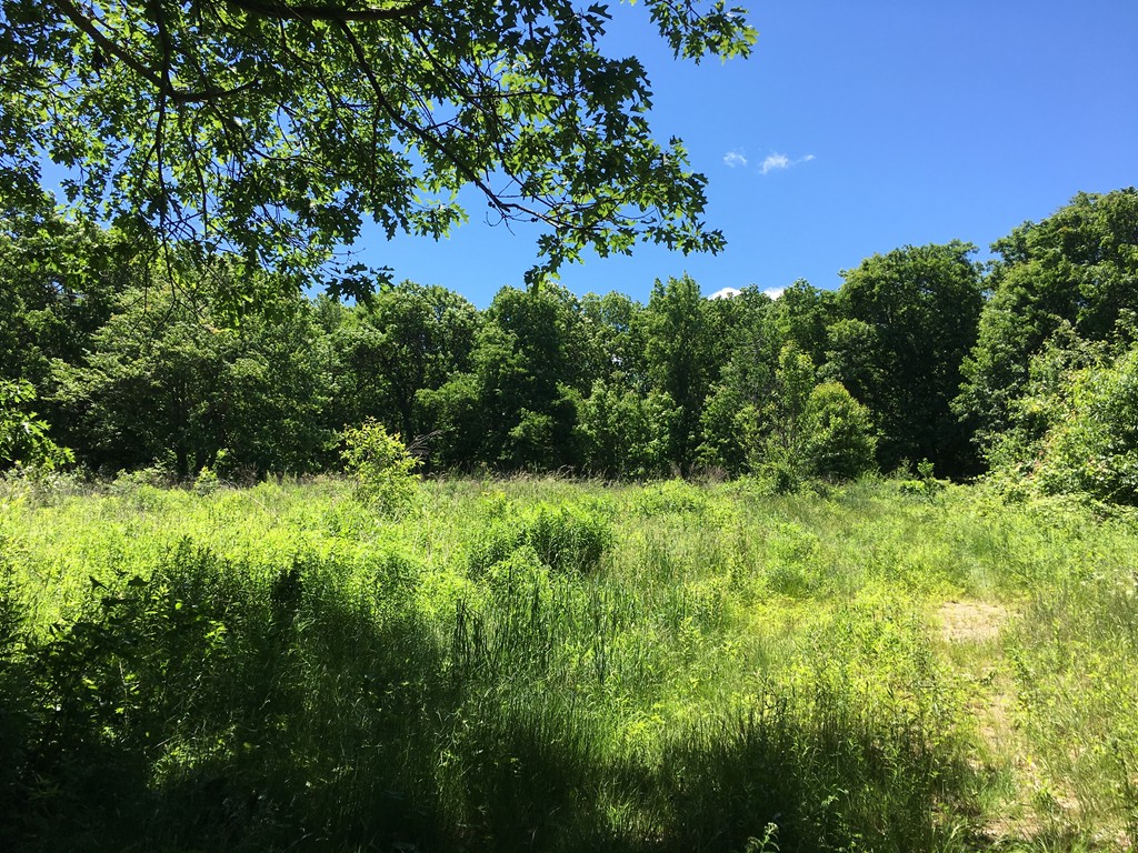 Lot 3 Merriam Road Princeton, MA 01541 - Photo 1 of 2