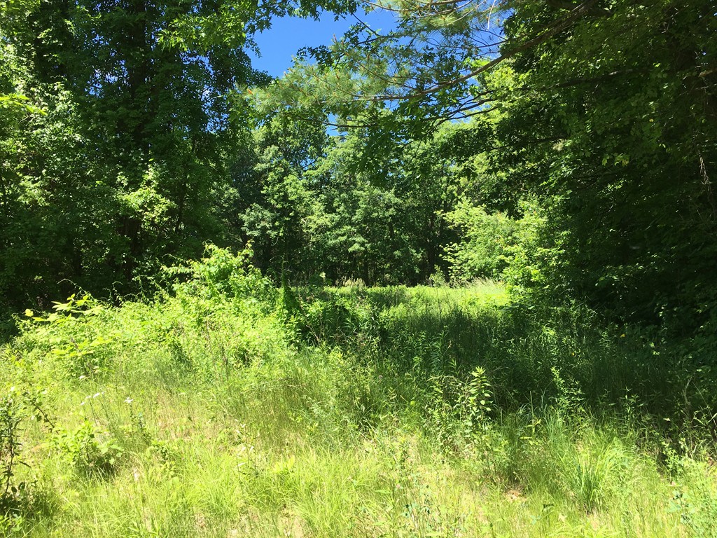 Lot 3 Merriam Road Princeton, MA 01541 - Photo 2 of 2