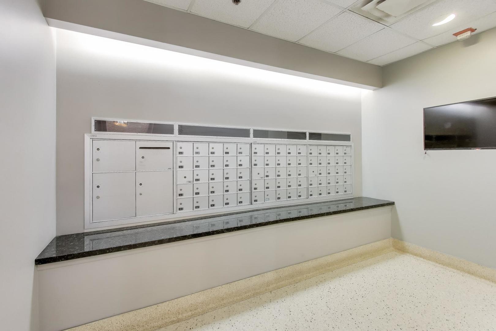 435 West Erie Street, Unit 908 Chicago, IL 60654 - Photo 32 of 46