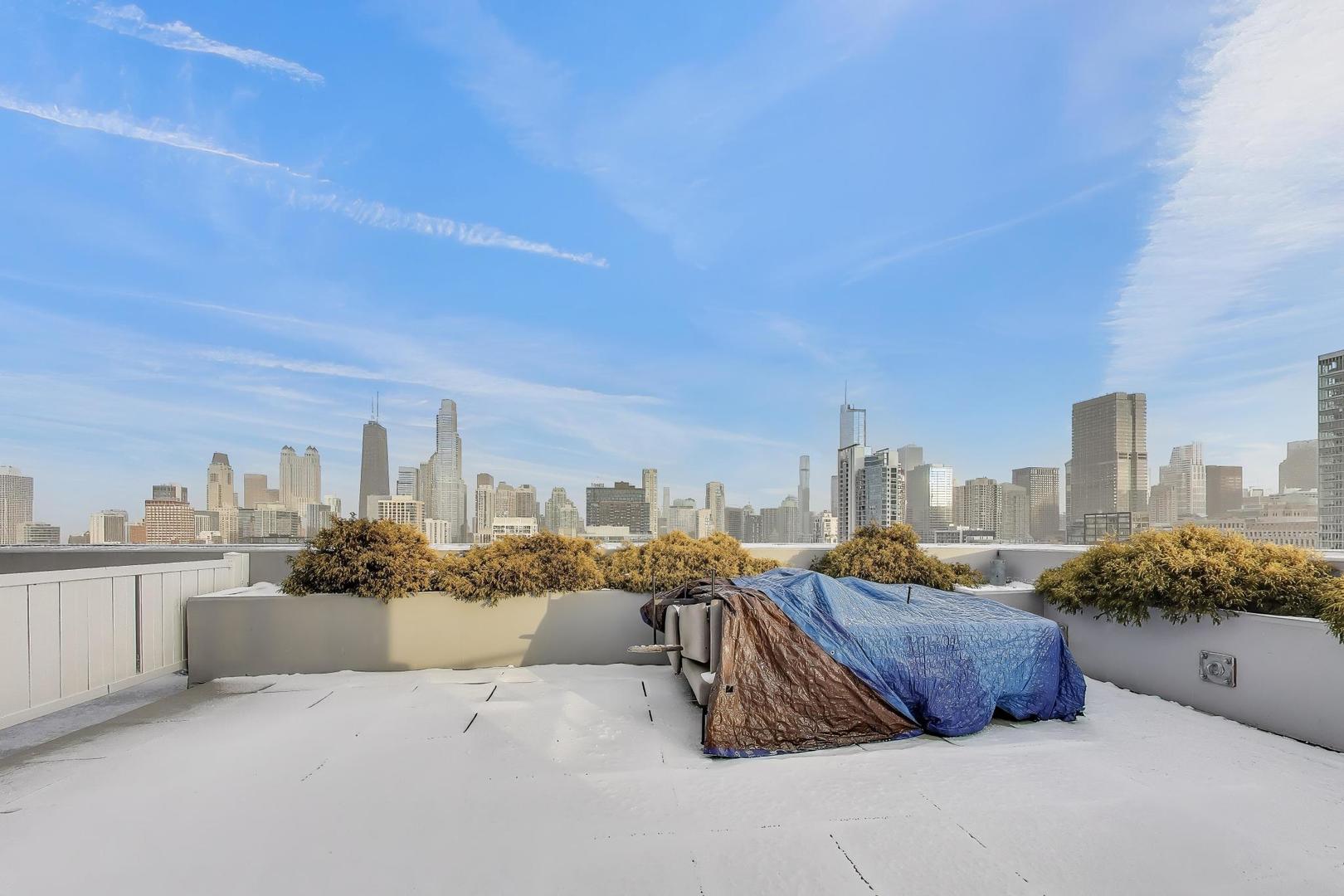 435 West Erie Street, Unit 908 Chicago, IL 60654 - Photo 45 of 46