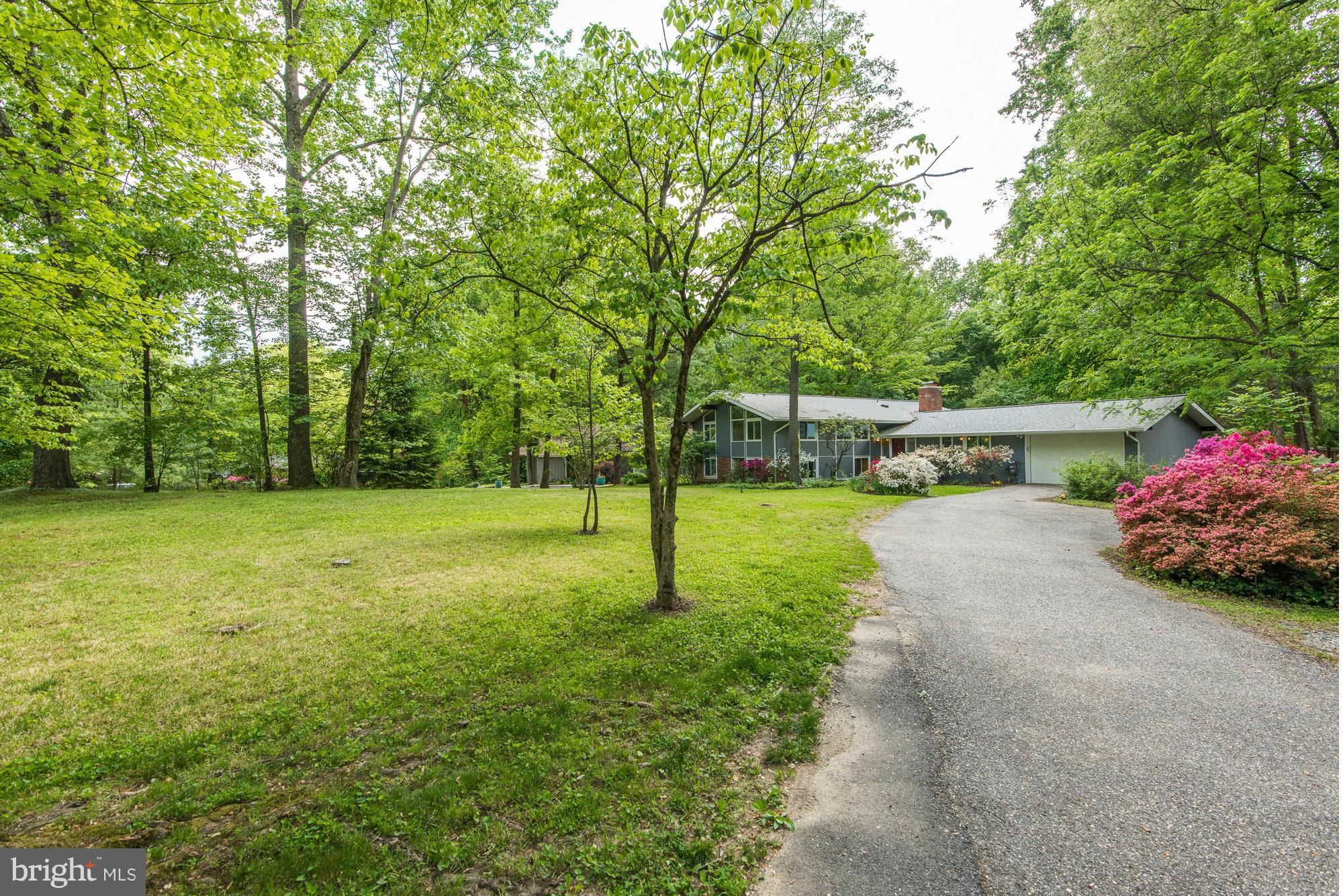 6718 Persimmon Tree Road Bethesda, MD 20817 - Photo 2 of 30 a view of a park with large trees