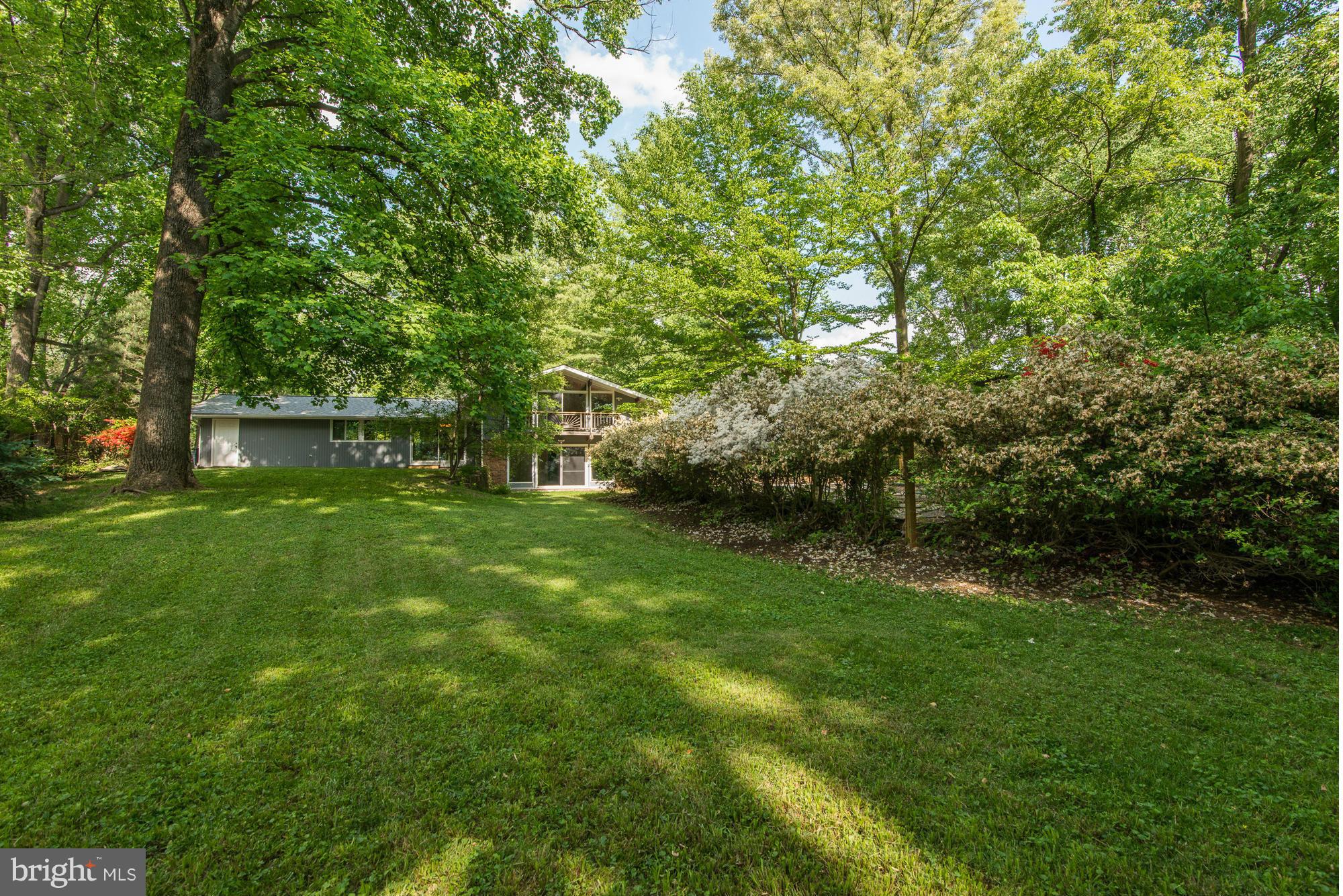 6718 Persimmon Tree Road Bethesda, MD 20817 - Photo 25 of 30 a view of yard with green space