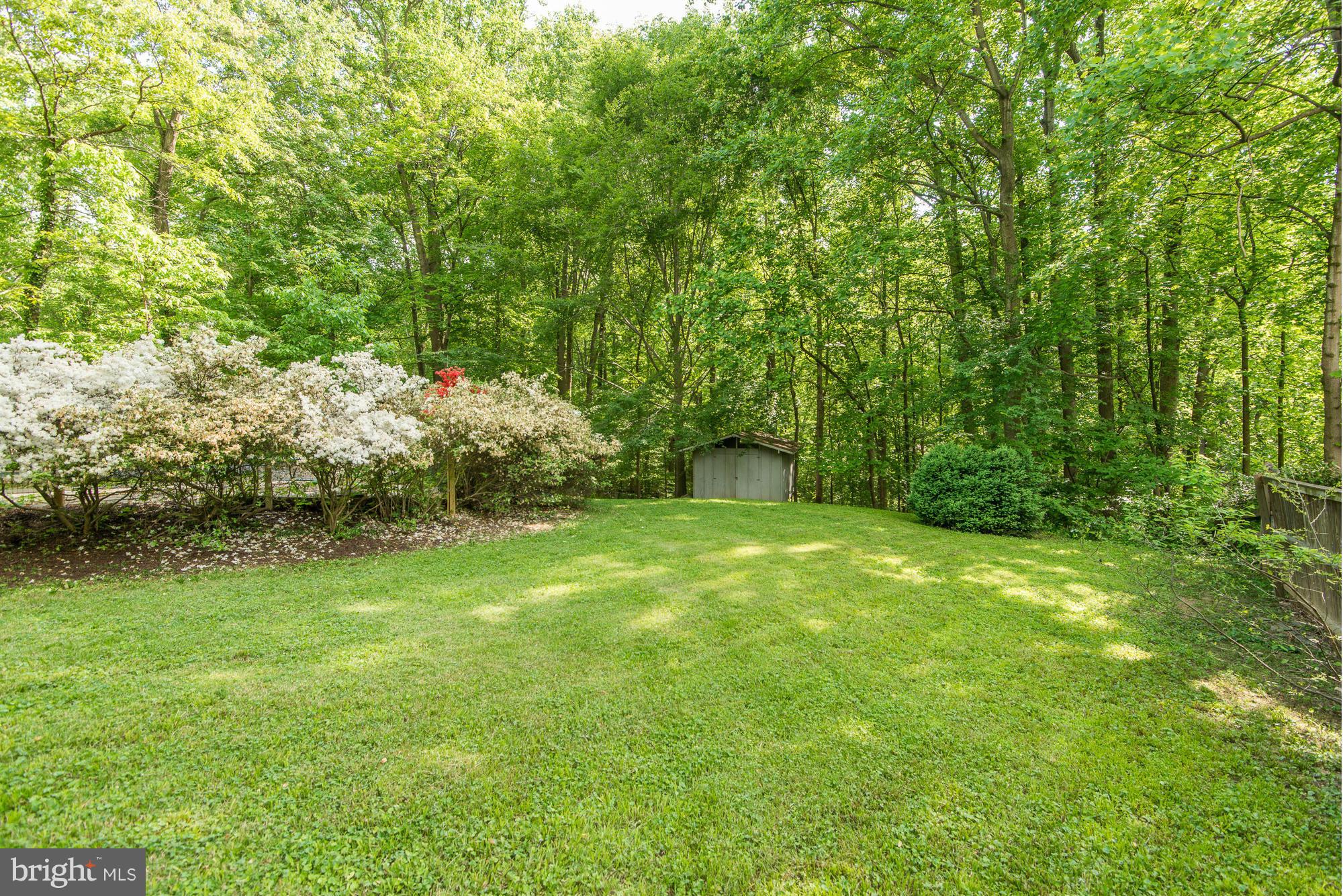 6718 Persimmon Tree Road Bethesda, MD 20817 - Photo 26 of 30 a backyard of a house with plants and large trees