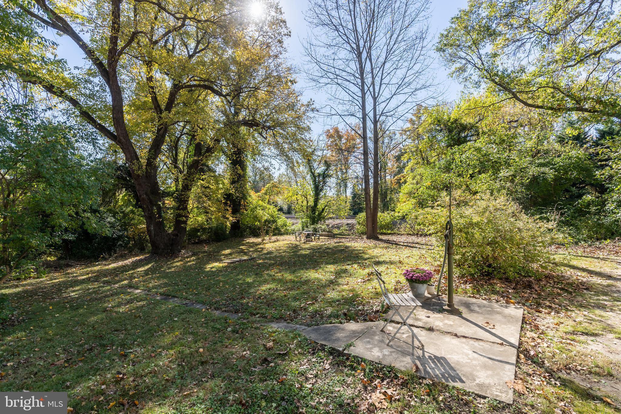 9809 Capitol View Avenue Silver Spring, MD 20910 - Photo 30 of 32 View of the garden