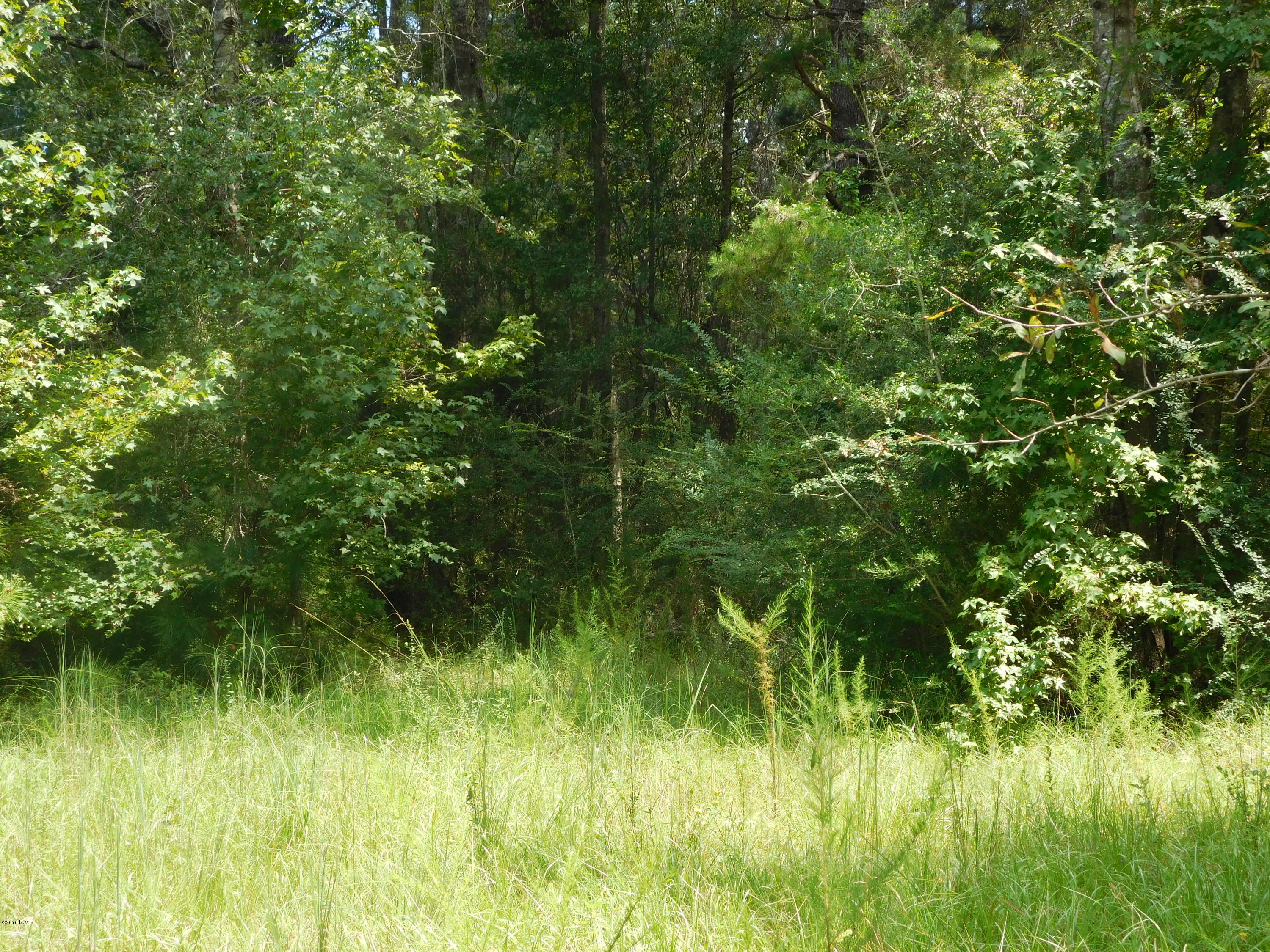 0 Douglas Ferry Road Caryville, FL 32427 - Photo 5 of 6 Gallery Image 5
