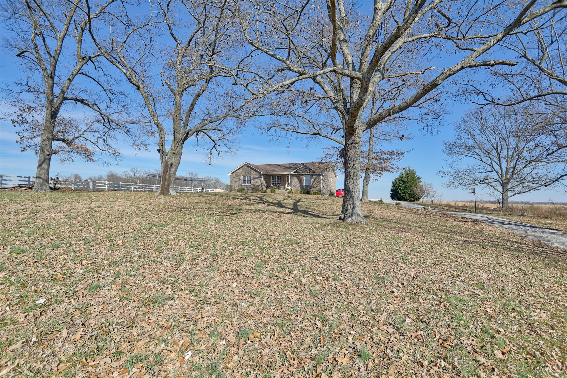 4322 Dot Road Springfield, TN 37172 - Photo 18 of 22 a view of dirt yard with a tree