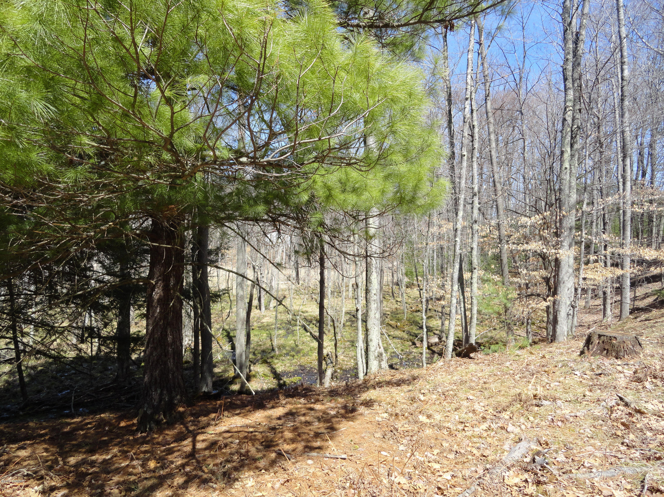 7929 East Pomeroy Springs Road Manistee, MI 49660 - Photo 7 of 24 Portenga (9)