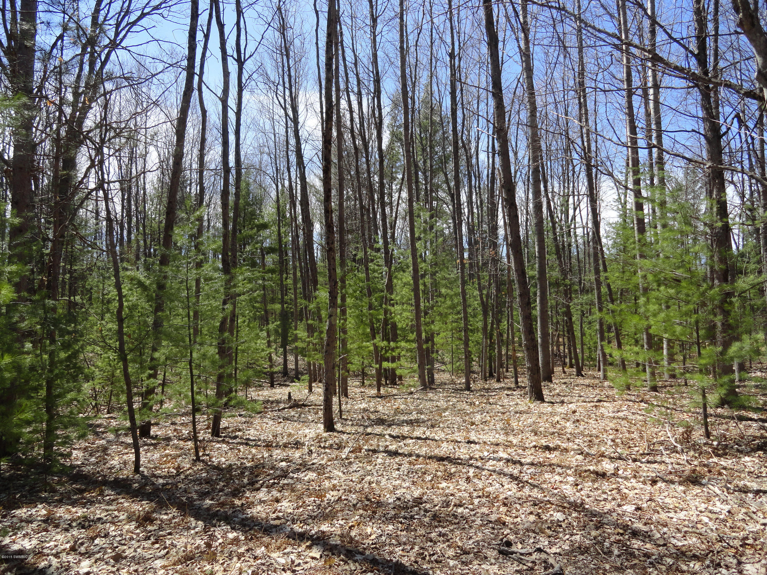 7929 East Pomeroy Springs Road Manistee, MI 49660 - Photo 9 of 24 Portenga (12)