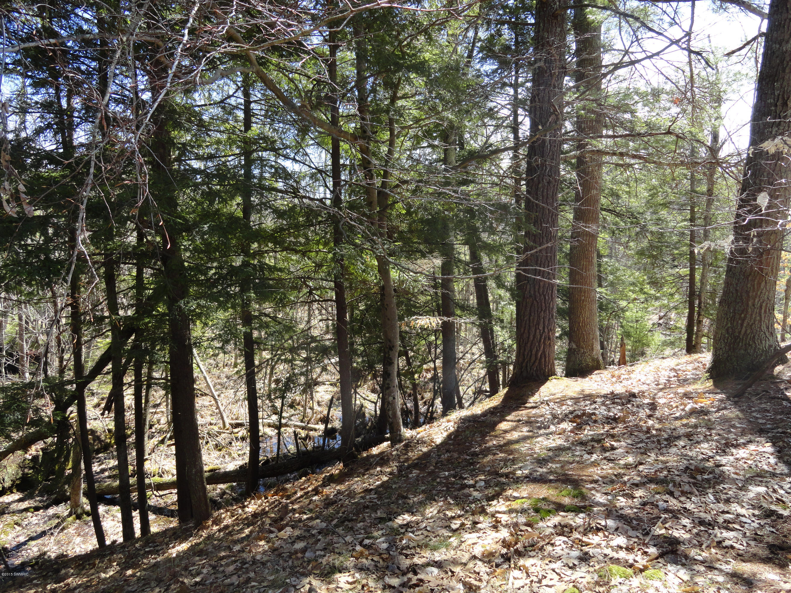 7929 East Pomeroy Springs Road Manistee, MI 49660 - Photo 10 of 24 Portenga (13)